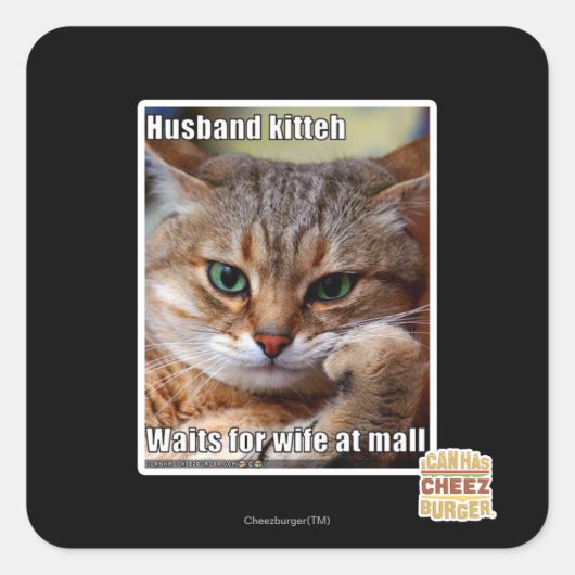 Husband Kitteh Vierkante Sticker (Voorkant)