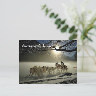 Huskies Husky Holiday Sled Dog Briefkaart voor ker