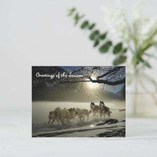 Huskies Husky Vakantie Slede Hond Kerstmis Ansicht Briefkaart
