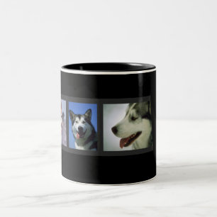 Huskies Mok