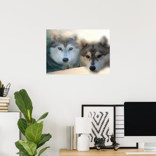 Huskies poster (Thuiskantoor)
