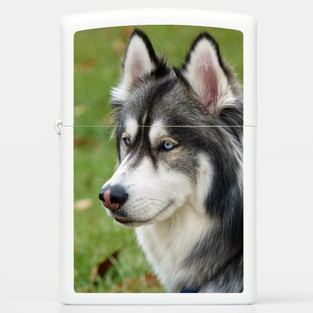 Husky (Voorkant)