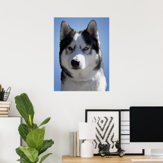 Husky Art Print Sled Dog Art Poster Husky Cadfts (Bureau à domicile)