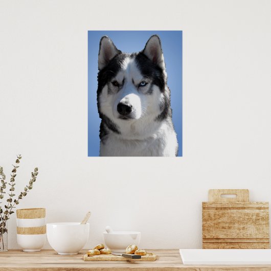 Husky Art Print Sled Dog Art Poster Husky Cadfts (Cuisine)