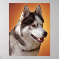 Husky Art Print Sled Dog Art Poster Husky Cadfts
