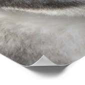 Husky Art Print Sled Dog Art Poster Husky Cadfts (Coin)