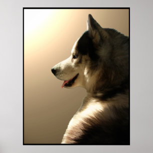 Husky Art Print Sled Dog Art Poster Husky Cadfts