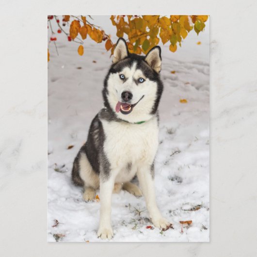 Husky Bar Menu (Achterkant)