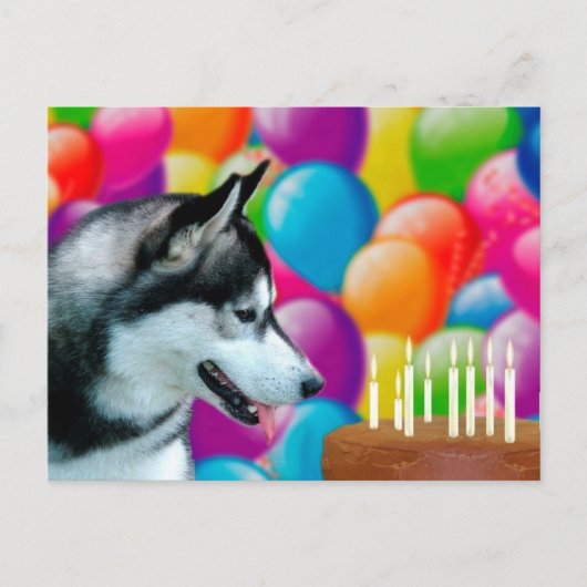 Husky Birthday Briefkaart (Voorkant)
