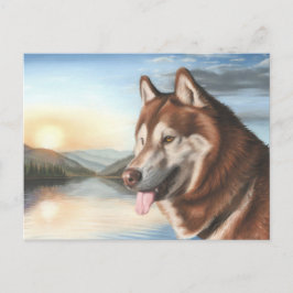 Husky Briefkaart