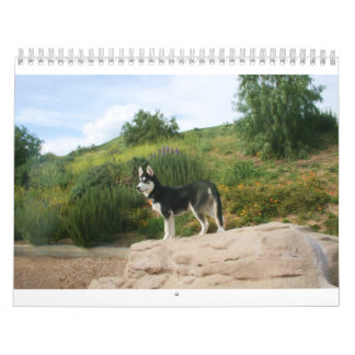 Husky Calendar 2011 Kalender