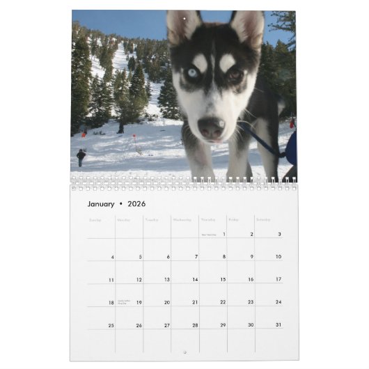 Husky Calendar 2011 Kalender (Jan 2026)