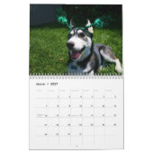 Husky Calendar 2011 Kalender (Mar 2027)
