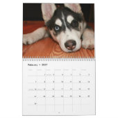 Husky Calendar 2011 Kalender (Feb 2027)