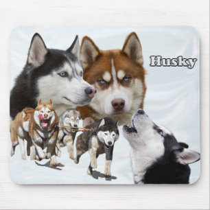 husky collage muismat