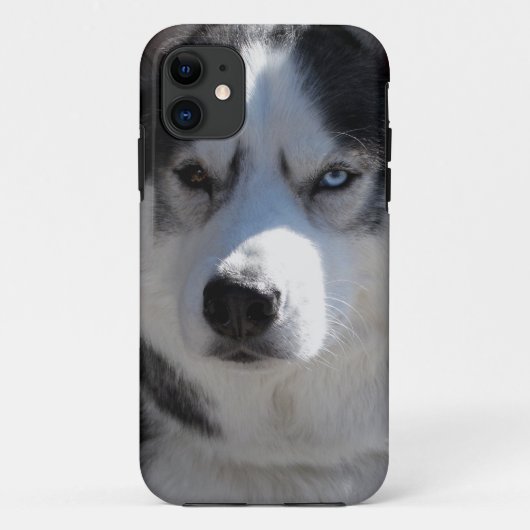 Husky coques iphone Husky Malamute Coques (Dos)
