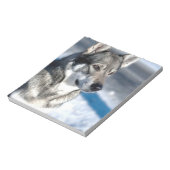 Husky dans Bloc-notes Neige (Tourné)