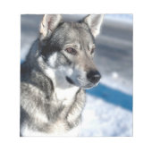 Husky dans Bloc-notes Neige (Devant)