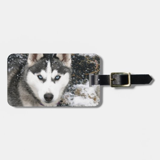 Husky Dog Bagagelabel (Voorkant horizontaal)