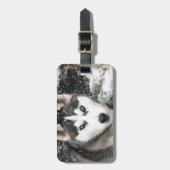 Husky Dog Bagagelabel (Voorkant verticaal)