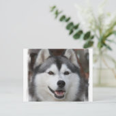 Husky Dog Briefkaart (Staand voorkant)