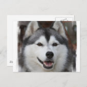 Husky Dog Briefkaart (Voorkant / Achterkant)
