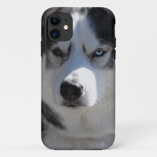 Husky Dog iPhone Gevallen Husky Malamute Hoesjes