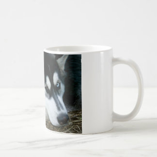 Husky Dog Koffiemok