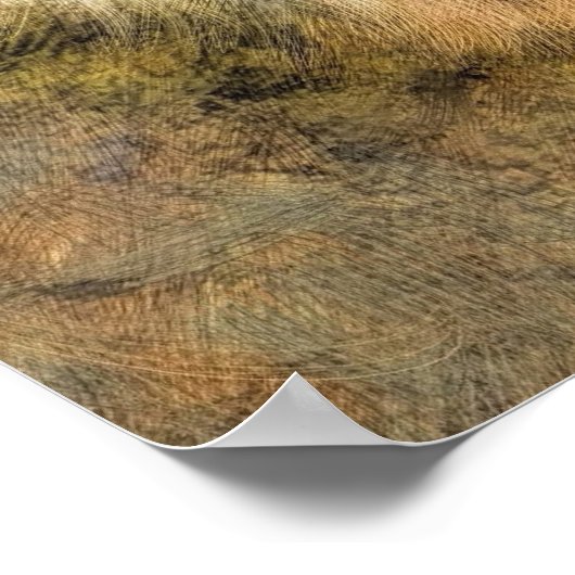 Husky Dog Lou Lou Poster (Hoek)