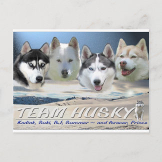 husky dog sleping briefkaart
