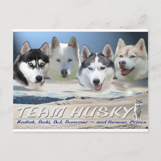 husky dog sleping briefkaart (Voorkant)