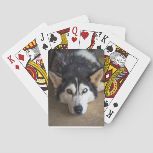 Husky Dog-speelkaarten Speelkaarten (Achterkant)