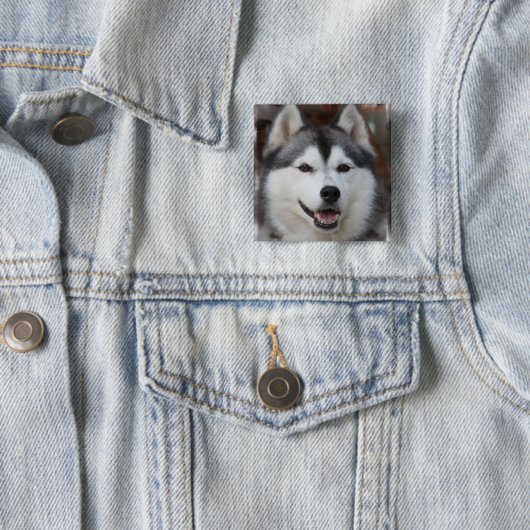 Husky Dog Square Button (In situ)