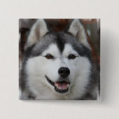 Husky Dog Square Button (Voorkant)