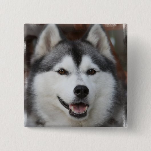 Husky Dog Square Button (Voorkant)