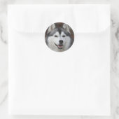 Husky Dog Sticker (Tas)
