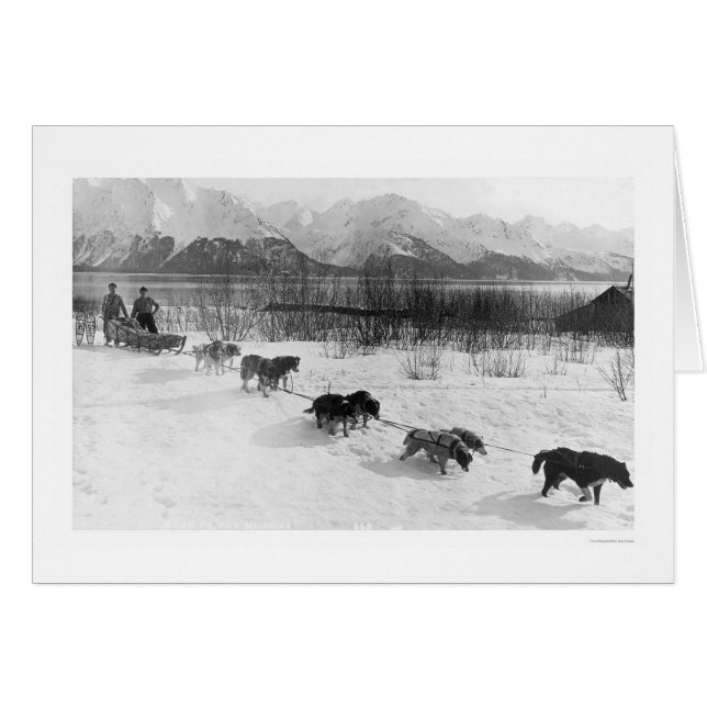 Husky Dog Team Alaska 1918 (Voorkant Horizontaal)