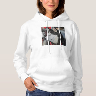 Husky dog voor een race, Canada Hoodie