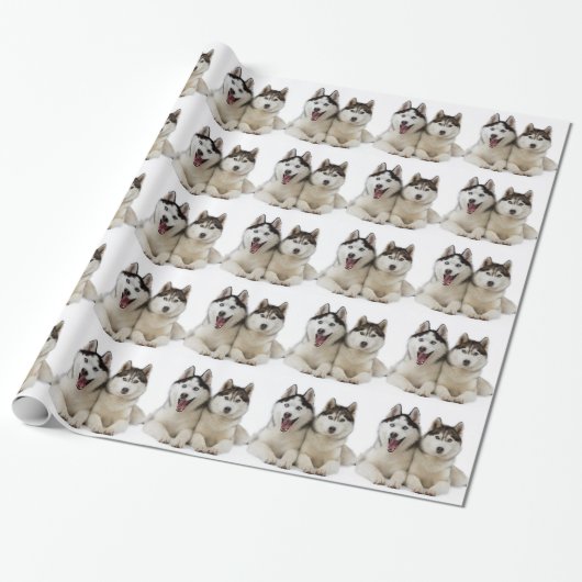 Husky Dogs Cadeaupapier (Uitgerold)