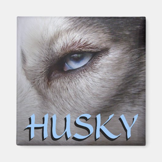 Husky Fridge Magnet Alaskan Sled Dog Magnet / Gift Magneet (Voorkant)