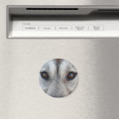 Husky Fridge MagnetSled Chien Loup Magnet / Cadeau (In Situ (Lave-vaisselle))