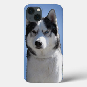 Husky Galaxy S3 Coque Sled Dog Husky Coque