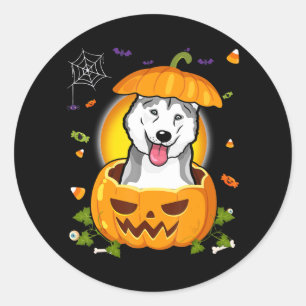 Husky Gift   Halloween Dog Witch Pumpkin Husky Ronde Sticker