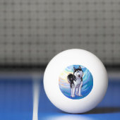 Husky Gifts & Accessoires Pingpongballen (Net)