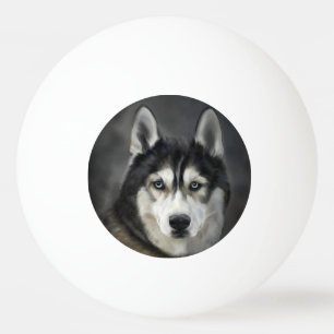 Husky Hond Grote Hond Dier Huisdier Pingpongballen
