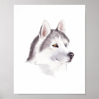 Husky-hond poster / dier posters