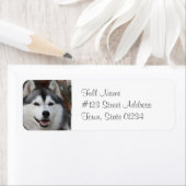 Husky hond retour adreslabel etiket (Insitu)