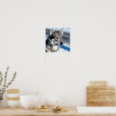 Husky in het Poster Snow (Keuken)