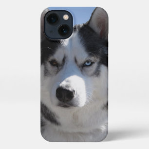 Husky iPhone Case Custom Husky Malamute Hoesjes 13 Hoesje