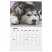 Husky-kalender Kalender (Mar 2027)